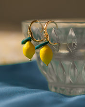Load image into Gallery viewer, Fruit Hoops with Lemons